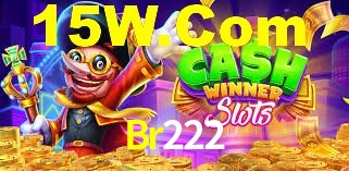 Daily Bonuses Br222