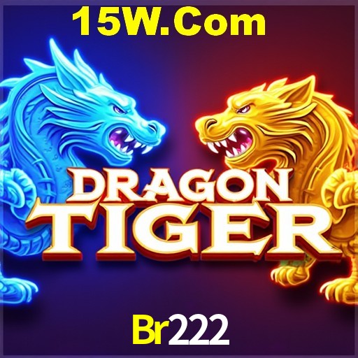 2FA Security Br222
